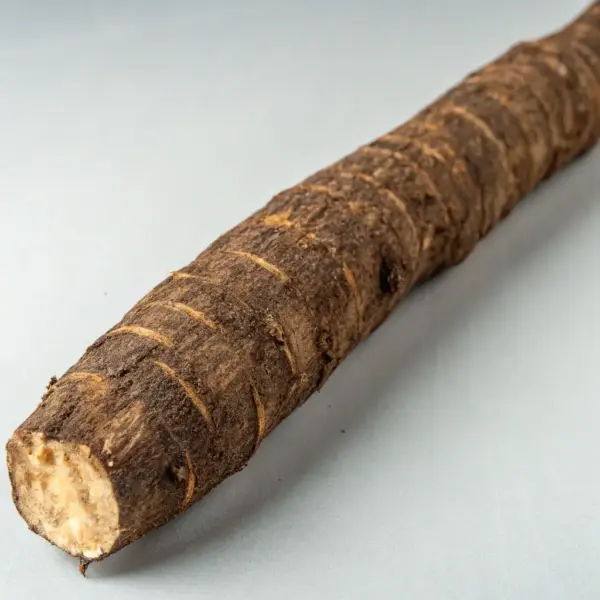 Echinacea Purpurea Root